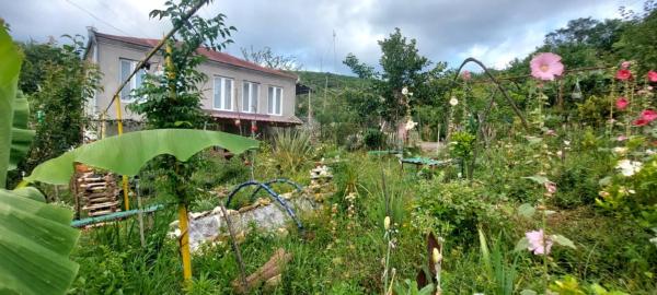Guest House David, Reserva ahora  Hoteles en Imereti con aparcamiento, Aparcamiento