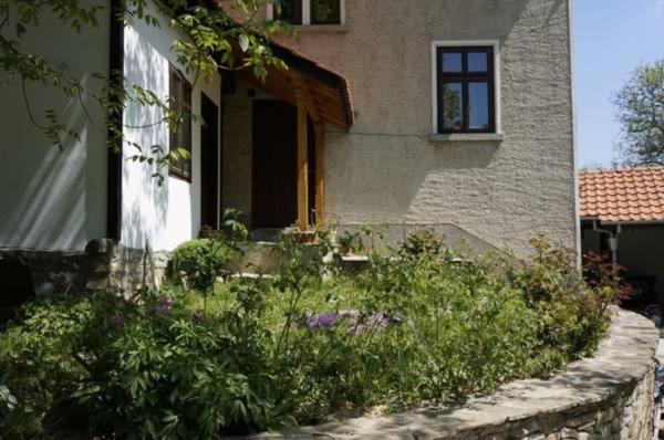 Guest House Pepeliana, Prenota Affittacamere Bozhentsi 