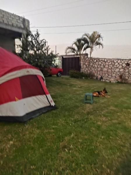 Nada y acampa con tus perritos, Prenota  Texcalpan Morelos