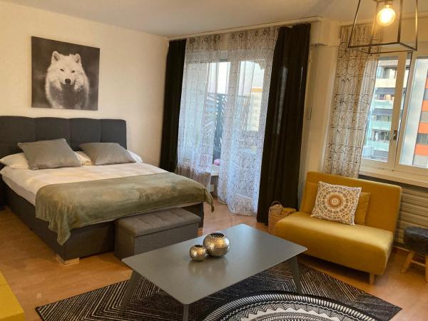 Appartement 1,5 pces, Réserver  Fribourg 