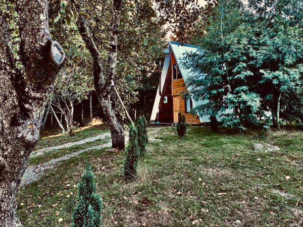 Cabañas Los Avellanos, Prenota  Hotel a Araucanía con parcheggio, Parcheggio