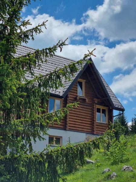 Beloglavi sup, Buchen Sie  Bukorovac Zentralserbien