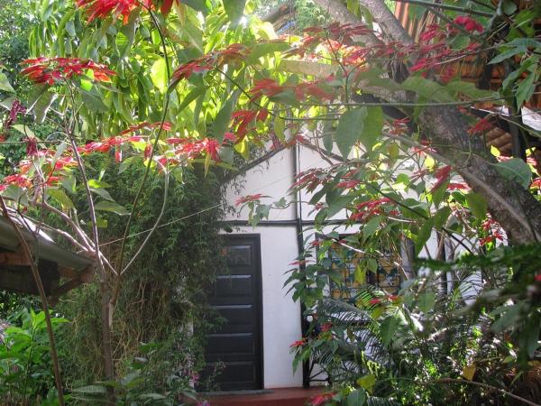 Banana Jungle Lodge, Buchen Sie  Hotels in Hai mit Parkplatz, Parkplätze
