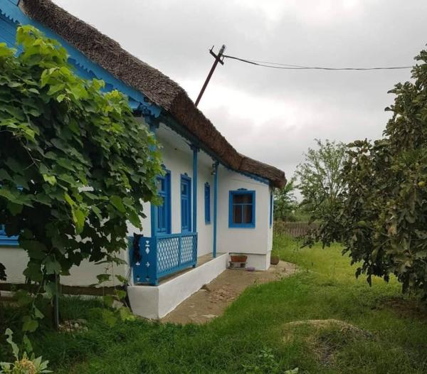 Căsuța de chirpici, Reserva ahora  Dunavăţu de Sus 