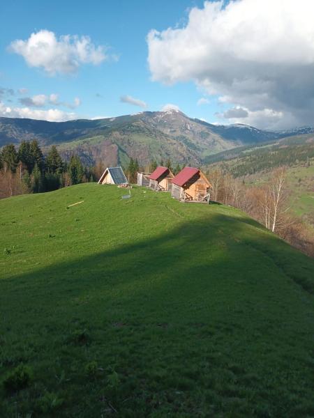 Eco katun Kofiljača, Reserva ahora  Hoteles en Plav County con aparcamiento, Aparcamiento