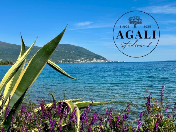 Agali Studios 1, Reserva ahora  Gialtra Grecia Central