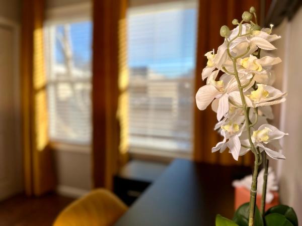 Hotel-Style, No Host, Professionally Managed ID267, Buchen Sie  Jersey City 