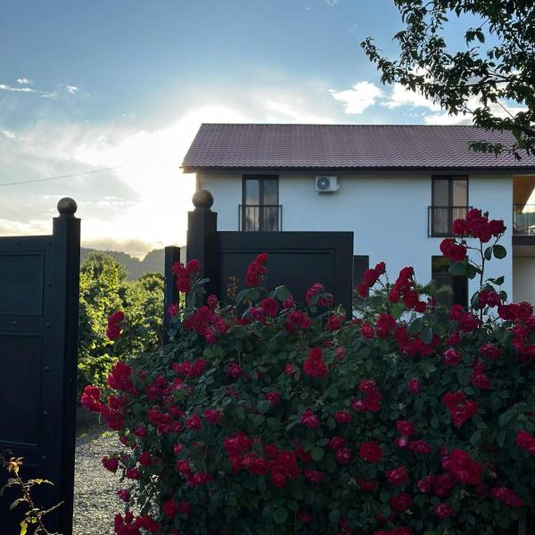Lago Veranda, Buchen Sie  Hotels in Kakheti mit Parkplatz, Parkplätze