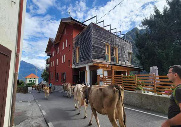 Residence Valgerola, Prenota  Pedesina Sondrio