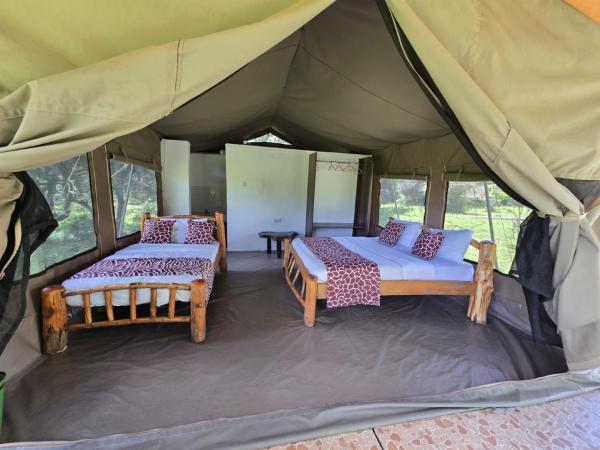 Wild Nest Mara camp, Réserver  Masai Mara National Reserve 