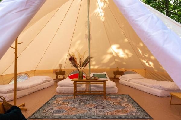 Jaskółkowo Glamping, Book Campground Objazda Pomerania