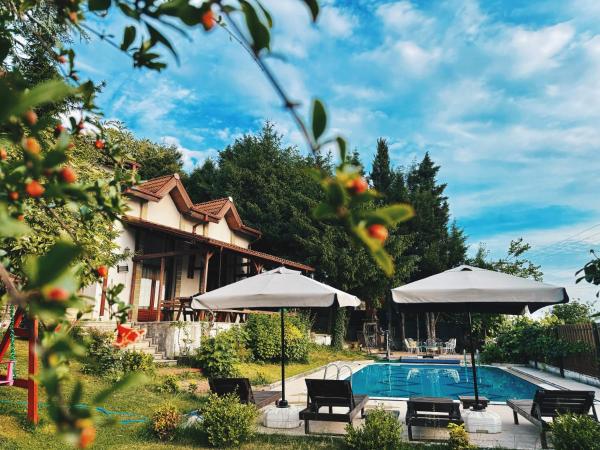 Manzara Ödüllü Büyük Havuzlu Premium Villa, Book  Hotels in Marmara Region with a Pool, Swimming Pool