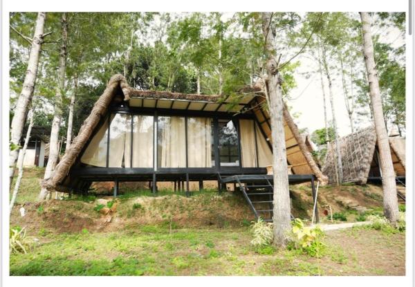 Lil Thatched camp, Prenota  Kanthalloor Kerala