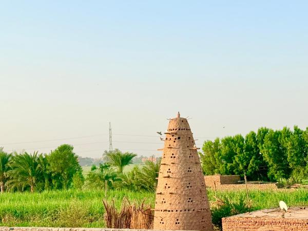 Bab Al Shams Palace, Reserva ahora  Luxor 