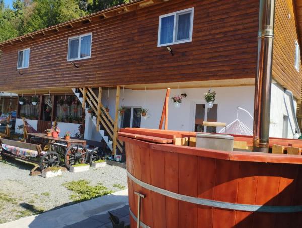 Cabana Dănuțza, Prenota  Hotel con piscina a Arieseni-Albac, Piscina