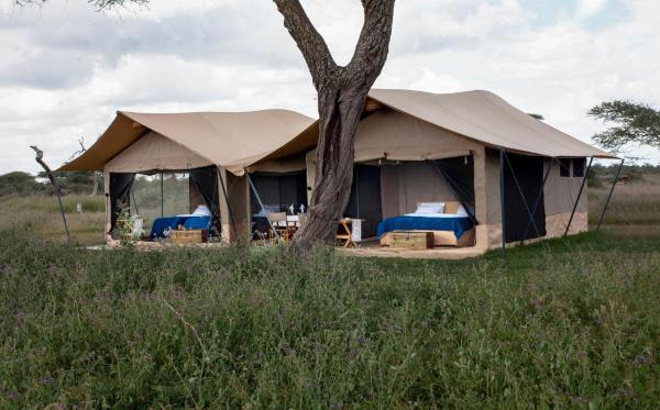 Migration UnderCanvas, Prenota  Serengeti Tanzania