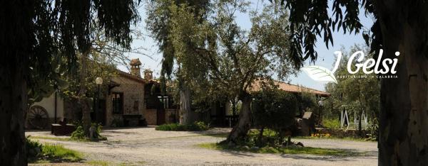 Agriturismo I GELSI, Buchen Sie  Francavilla Marittima Pollino