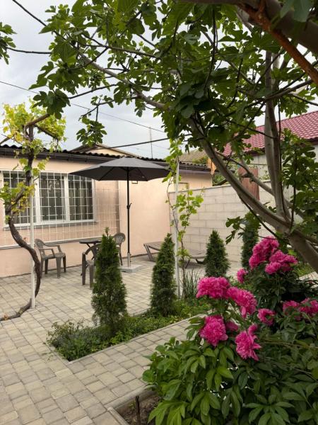 Sunny Nest, Buchen Sie  Oblast Odessa 