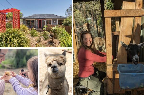 Blue Mountains Urban Farm Stay near Sydney, Buchen Sie  Hazelbrook New South Wales