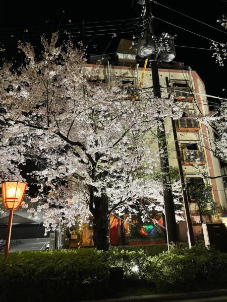 四条ホテル, Reserva ahora  Distrito de Shimogyo , cerca de Old Rissei Elementary School