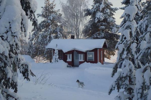 Lysti Cottage by the lake and magical countryside, Buchen Sie  Hotels in Lappland mit Parkplatz, Parkplätze