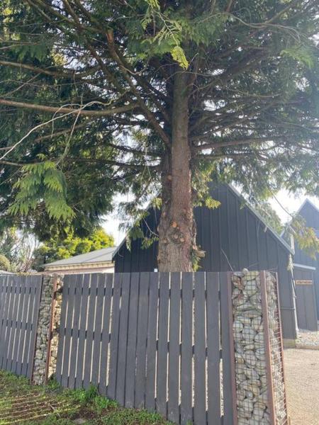 Southfork A, Buchen Sie  Methven 