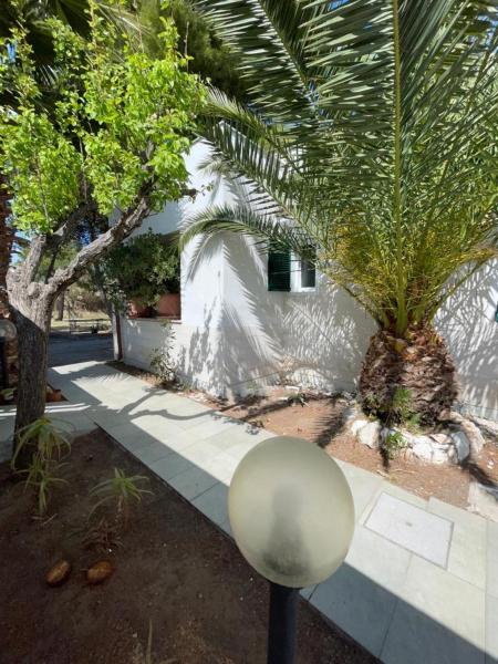 SUNLOVE Vieste - Apartament & Area Camper, Buchen Sie  Lupetto Apulien