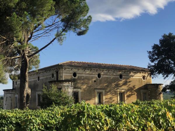 Tenute Pacelli - Azienda Agricola, Reserva ahora  Malvito Calabria