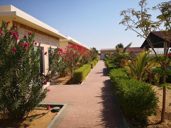 Almorouj Farm inn - Bidiya, Prenota  Bidiyah Al Sharqiyah