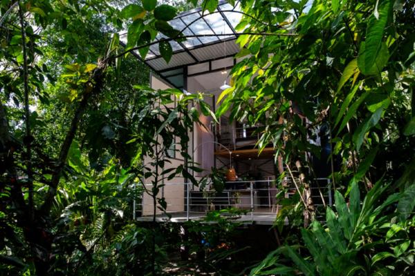 Perezoso Villa. Jurassic Park loft in the jungle, Prenota  Puerto Viejo Limon