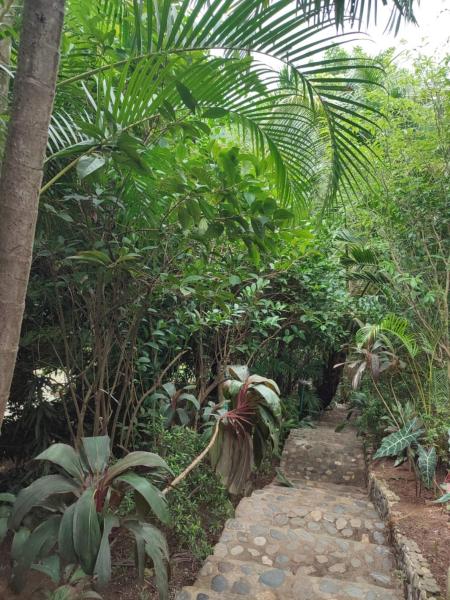 hotel san rafael, Reserva ahora  Hoteles en Santa Marta con aparcamiento, Aparcamiento