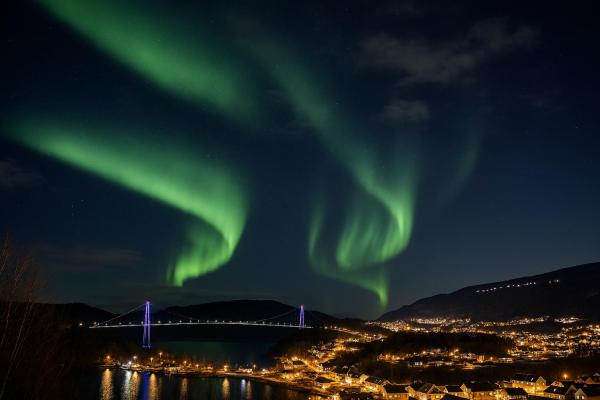 Ankenes Romutleie AS, Réserver  Narvik Nordland