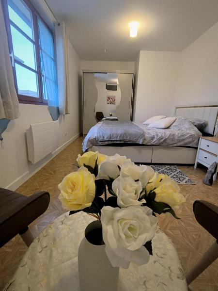 Elegant and cozy city center B&B, Réserver  La Ferte-sous-Jouarre 