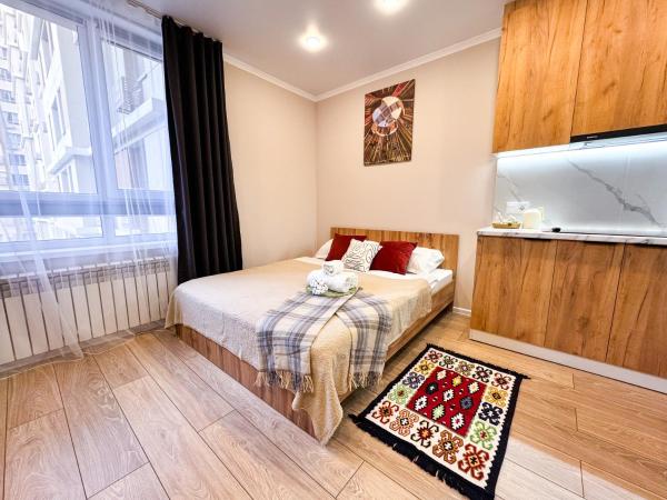 Urban studio for 4 person in Almaty, Buchen Sie  Almaty Kasachstan