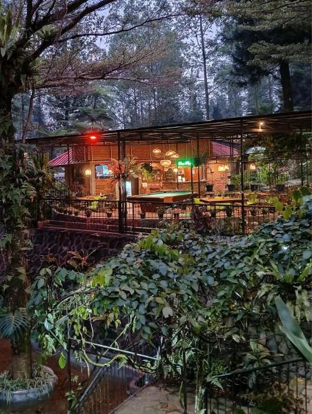 The Pinewood Lodge & Organic Farm