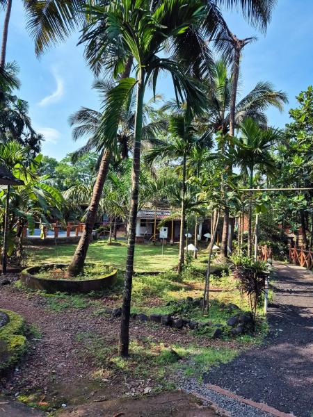 Roshan Restaurant and Guesthouse by Sty4you, Réserver  Hôtels à Maharashtra avec piscine, Piscine