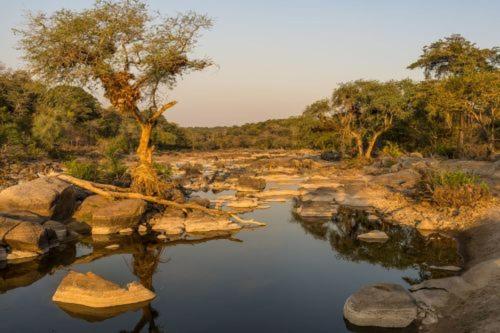 Bua River Lodge, Reserva ahora  Nkhotakota Malawi