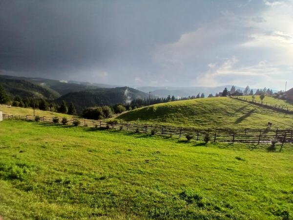 Cabana Maguri, Prenota   
