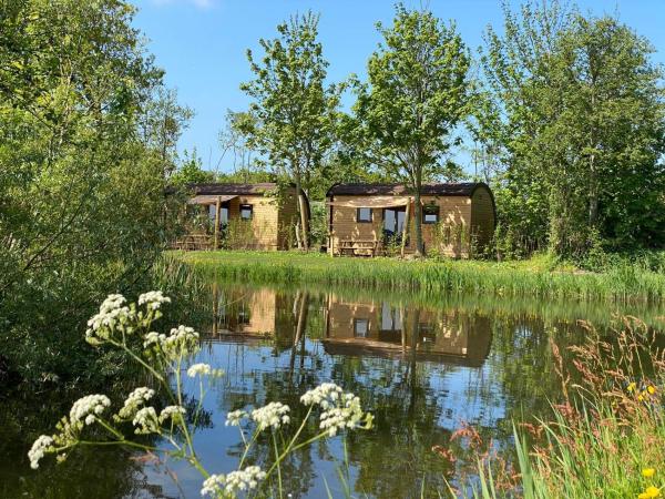 Aqua Lodge, Book  Hotels in Rotterdam with a Pool, Swimming Pool