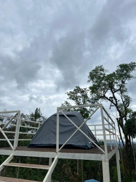 Bee tree adventure park tent stay, Réserver  Madikeri 