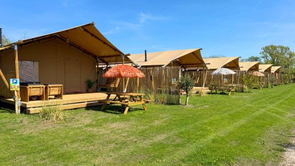 Safari lodge, Book  Hotels in Rotterdam with a Pool, Swimming Pool
