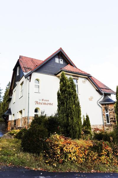 Ferienapartments in Schierke am Brocken direkte Wanderweglage, Réserver Appartement Wernigerode 