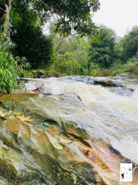 Coffee Voyages, Réserver  Madikeri 