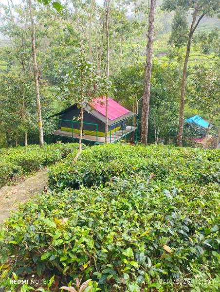 Organic Farmers Tent & Trekking, Buchen Sie  Yedapalli Tamil Nadu