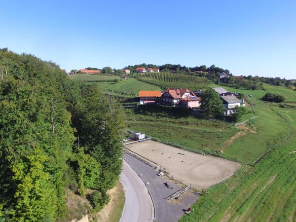 Guesthouse Kaučič, Prenota Affittacamere Hotel a Stiria con parcheggio, Parcheggio