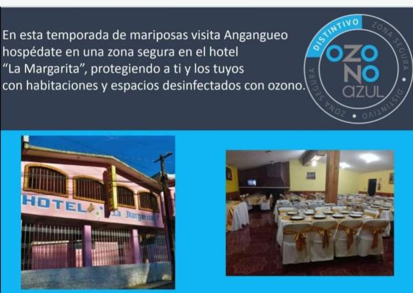 Hotel La Margarita, Prenota Hotel Mineral de Angangueo Michoacan