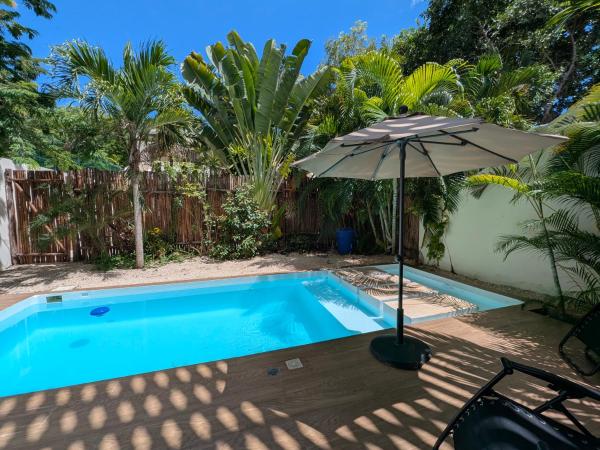 Luxury 4 Bedroom Villa with Private Pool, Prenota  Hotel con piscina a Tulum, Piscina