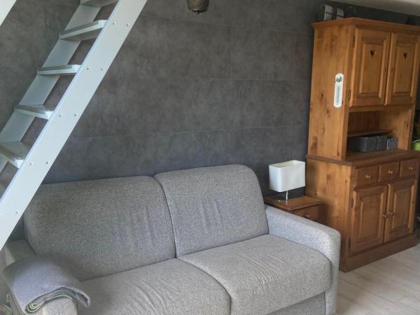 Appartement Mezzanine pour 6, Centre Village, Proche Pistes - FR-1-815-39, Prenota  Taninges Praz-de-Lys Sommand