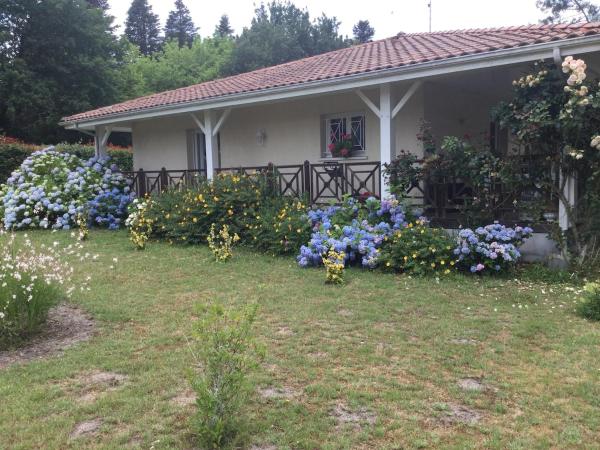 Villa avec grand jardin pour 6 personnes proche lac et océan, Prenota  Magescq Landes