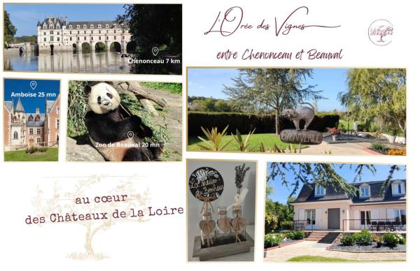 LOrée des Vignes 41 - Près de Chenonceau et du Zoo de Beauval, Reserva ahora  Hoteles en Centro con aparcamiento, Aparcamiento